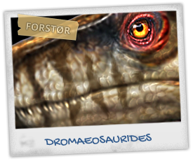 dromaeosaurides1