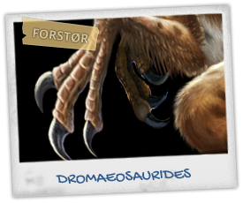 dromaeosaurides5