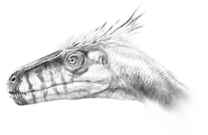 dromaeosaurides6